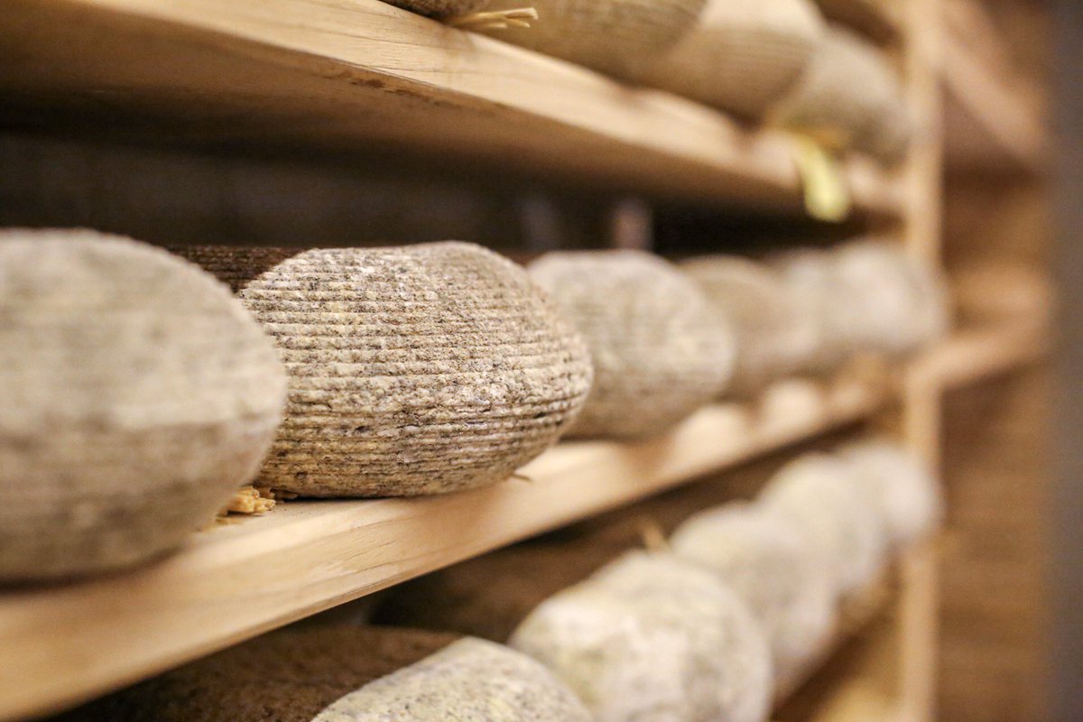 BlocCuinetes's tweet photo. Falten 21 dies per la @firaorigens! I com cada any serà un punt de trobada amb els #productors de proximitat que ens parlaran de la seva història i productes. Tots ells singulars, com el #manyac un formatge tou de pell florida elaborat per @laxiquella amb llet crua de vaca! 👌🏻 https://t.co/ukNu2K10uQ