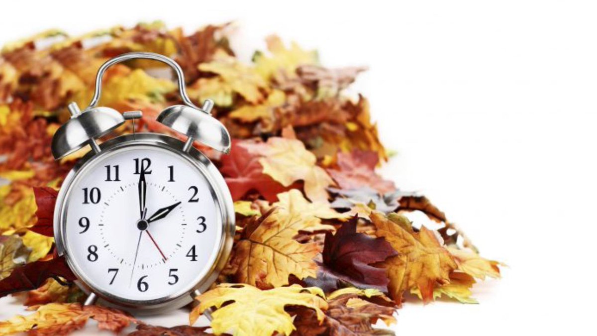 ACSTech's tweet photo. As Daylight Saving Time comes to an end when you hit your pillow tonight, think about utilizing that extra hour on Sunday morning to volunteer at Church in a new capacity!
#ACSTechnologies #RealMinistry #daylightsavingtime #church #volunteer https://t.co/9FWrMqbxK1