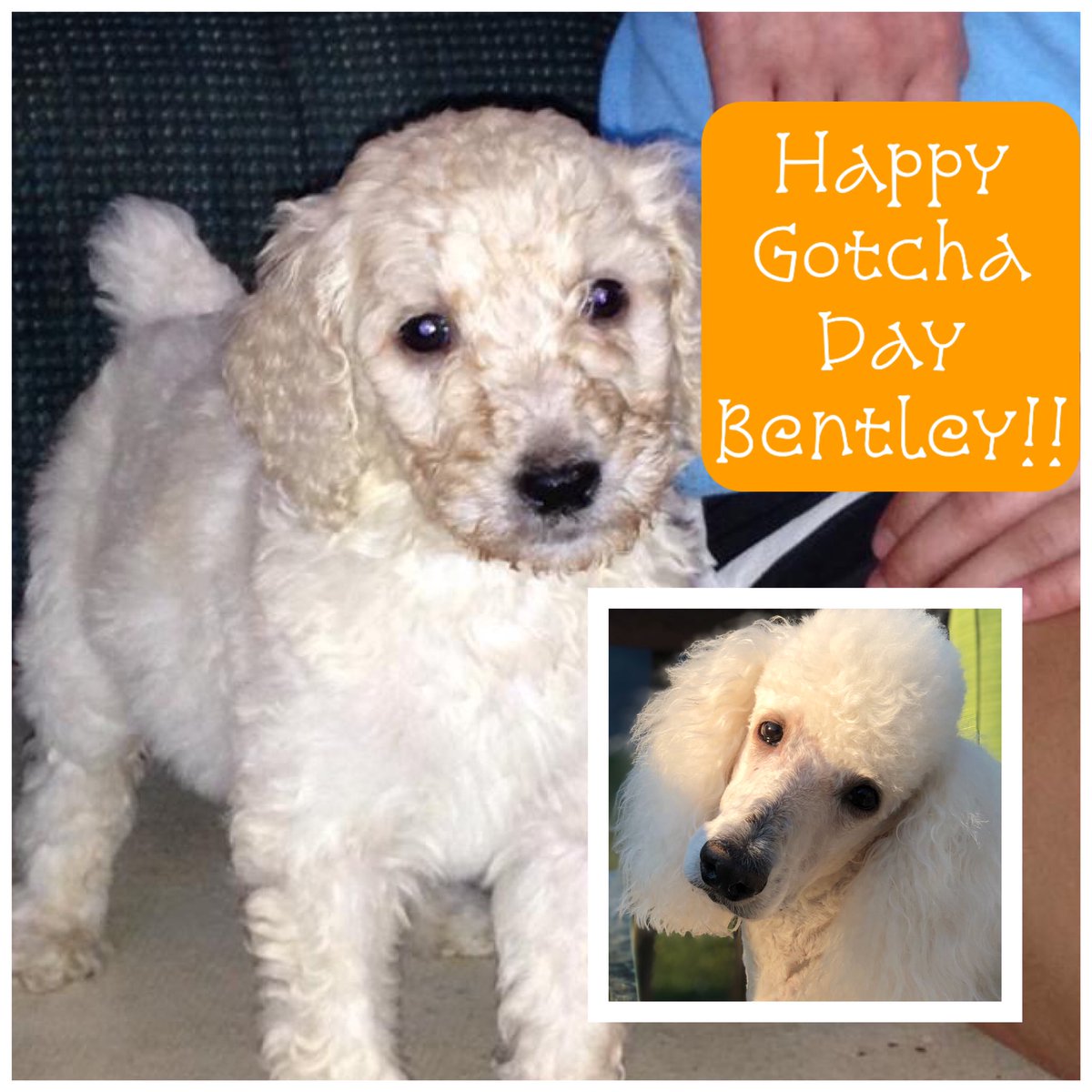 We sure do love this wild man!😍