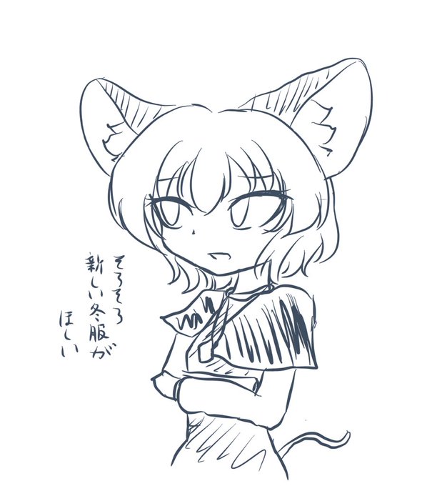 そろそろコートとか欲しい 
