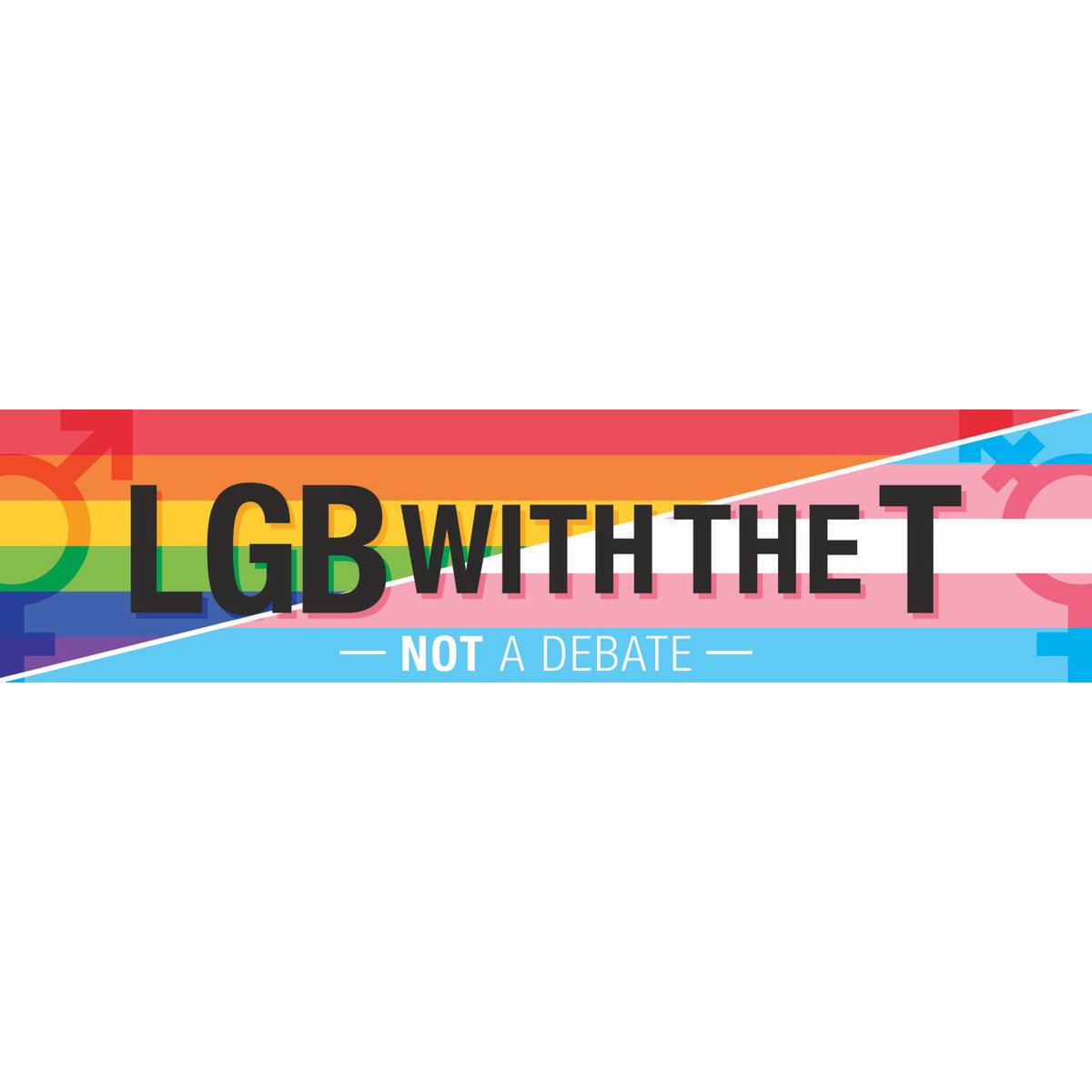 Please RT and let’s get this # going! The LGB alliance is an anti trans group. Let the world know know that the the LGBTQ+ community will not be divided and that we stand with our trans siblings! Drown out voices of discrimination. Repeat after me #LGBwiththeT