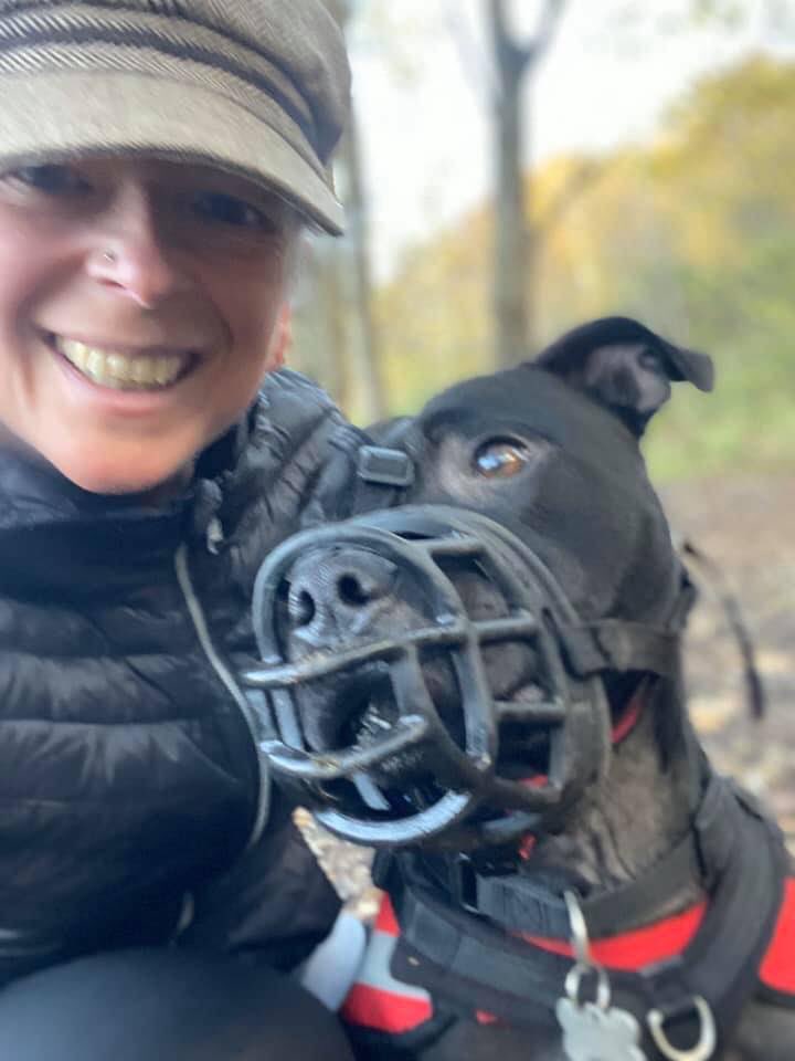 Staffordshire Rescue tweet media