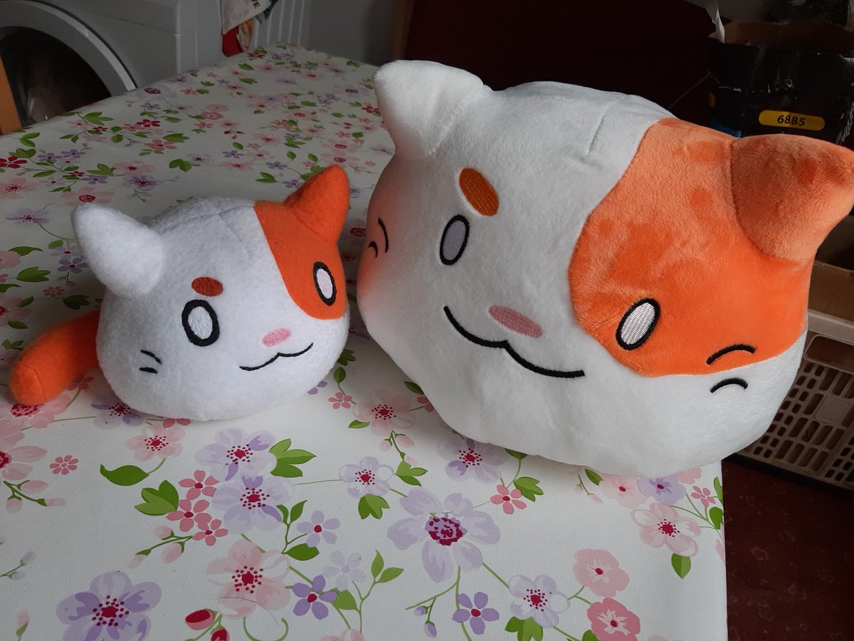 Shadowigel's tweet photo. Da ist sie, sie ist so groß und FLAUSCHIG!! Die beiden werden sich gut verstehen^^ @BlobCatGame @Samb_88 https://t.co/tPCCov0SNL