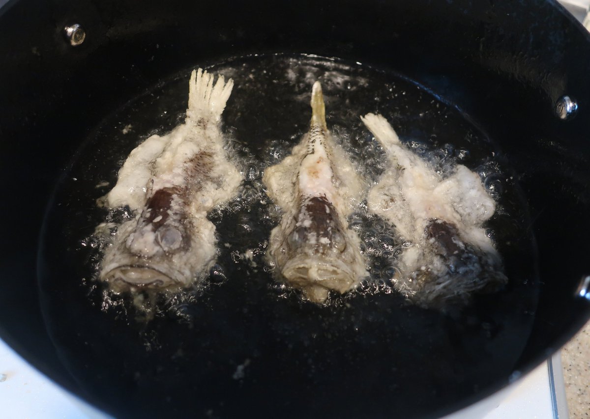 のん 365日野草生活 多摩川野草会代表 今日の釣り魚料理 クロイシモチ ゴンズイの唐揚げ クロイシモチ香ばしい ほとんど顔 エラとアラとって丸揚げ メバル ゴンズイの煮付け メバル水っぽく柔らかい 小骨少なく食べやすい ゴンズイ