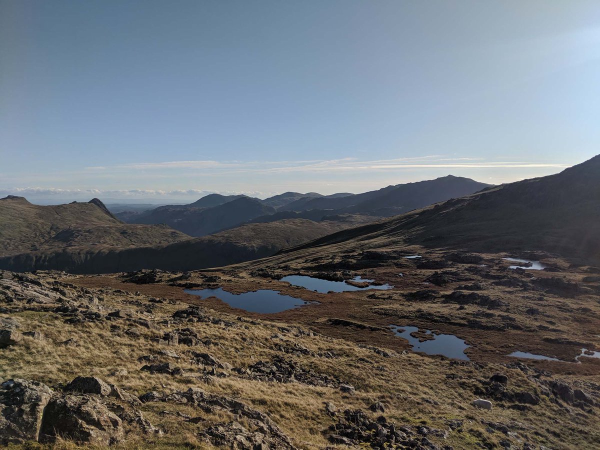 theldwalker's tweet photo. The Langdale Pikes, Coniston Fells & Bowfell
Taken from Combe Head on Mondays #Glaramara & #Bessyboot #GuidedWalk from #Stonethwaite
More info: https://t.co/xr9QCp39pU
#LakeDistrict #Cumbria #Hiking #Walking #GrangeFell #Borrowdale https://t.co/tNOQtosuSp