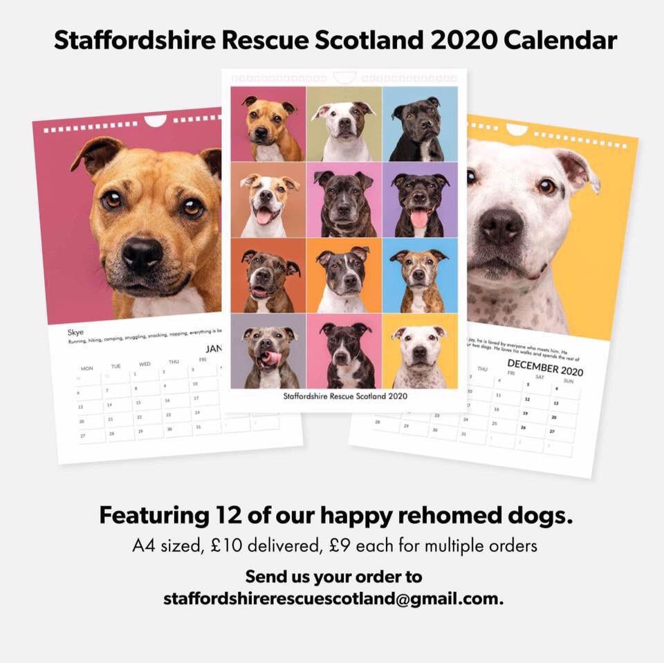 Staffordshire Rescue tweet media