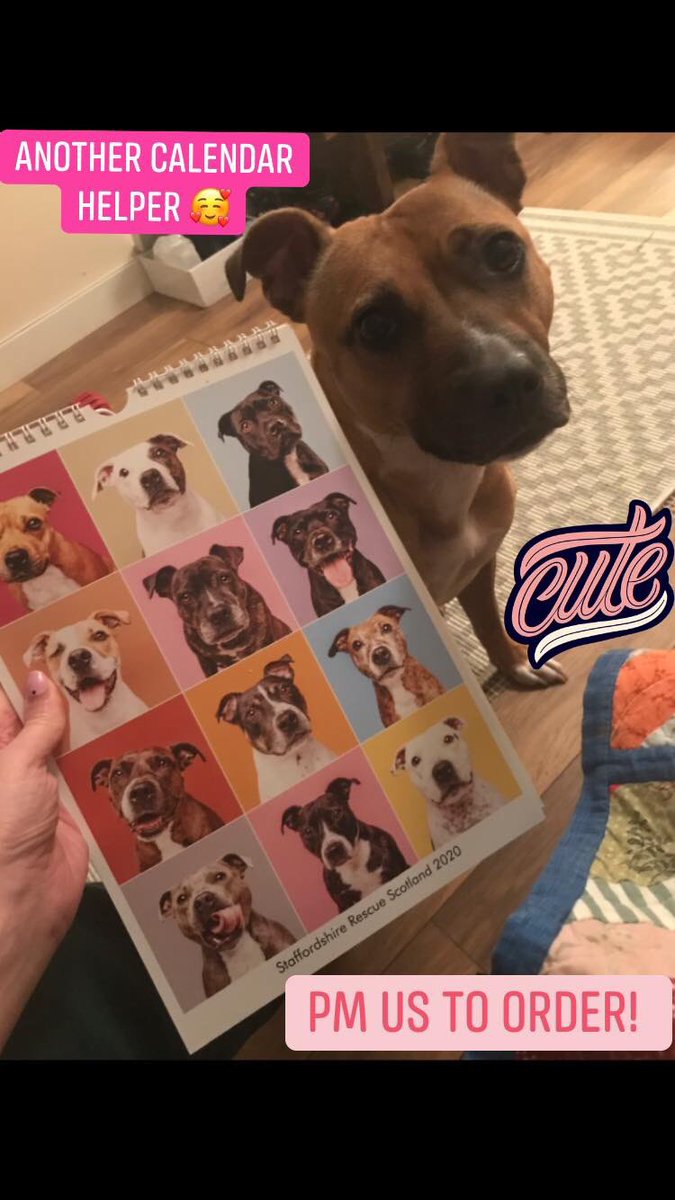 Staffordshire Rescue tweet media