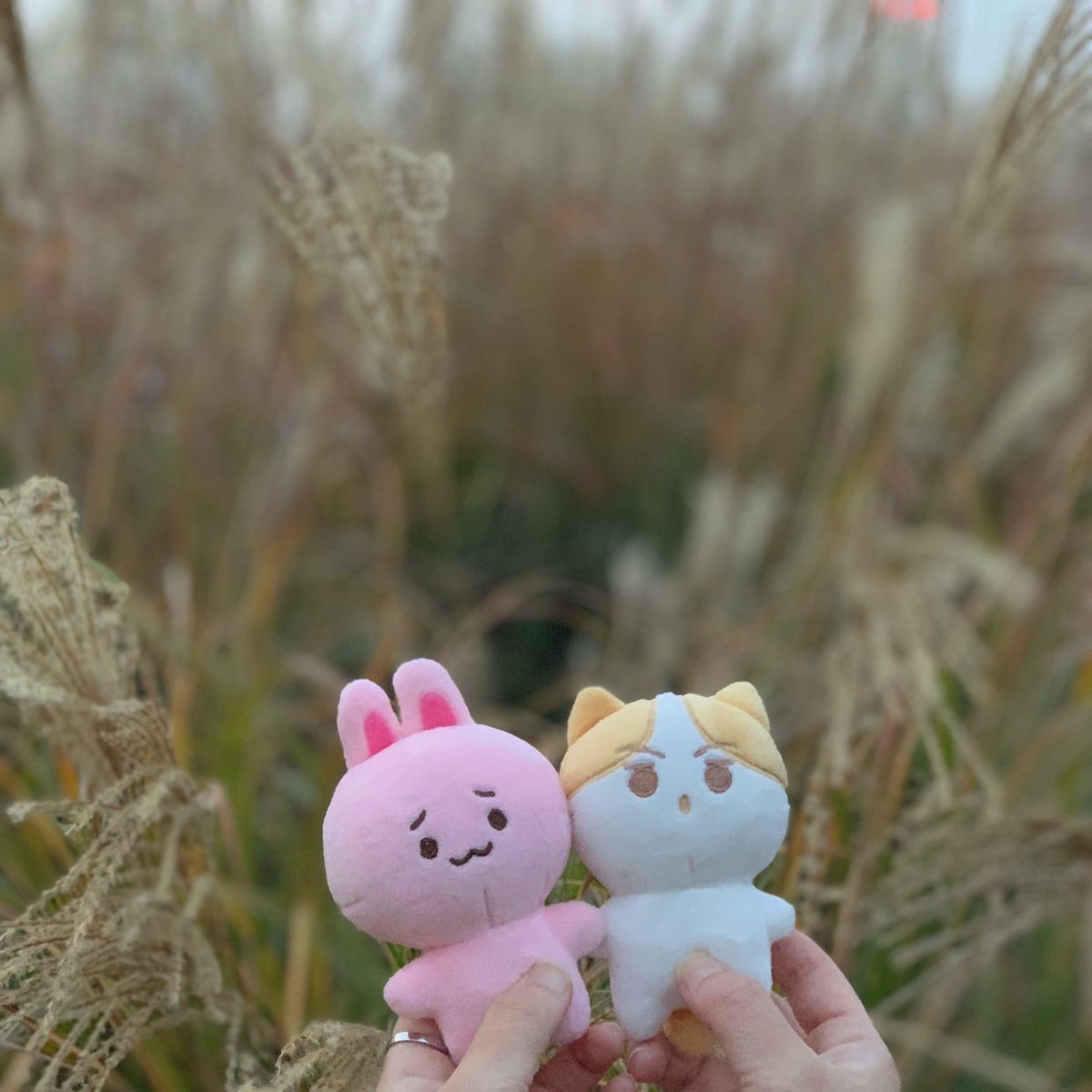 바니체니랑 훈냥냥~~ 가을 나들이🍂🍁