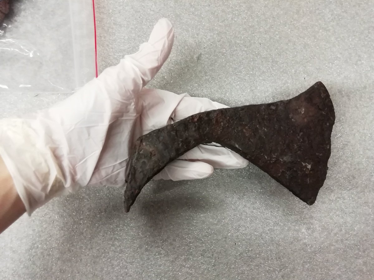 BarthetLaure's tweet photo. #Museum30 day 2✌ #WhoAmI ?
I am the very happy and proud director/curator of @MSR_Tlse ❤ Specialized in french national archaeology with a personal interest in the Visigoths and the Albigensian crusade. I am also a historical reenactor 🏹
Big fan of #Xena and #Supergirl ✌ https://t.co/jhh49gBfx8