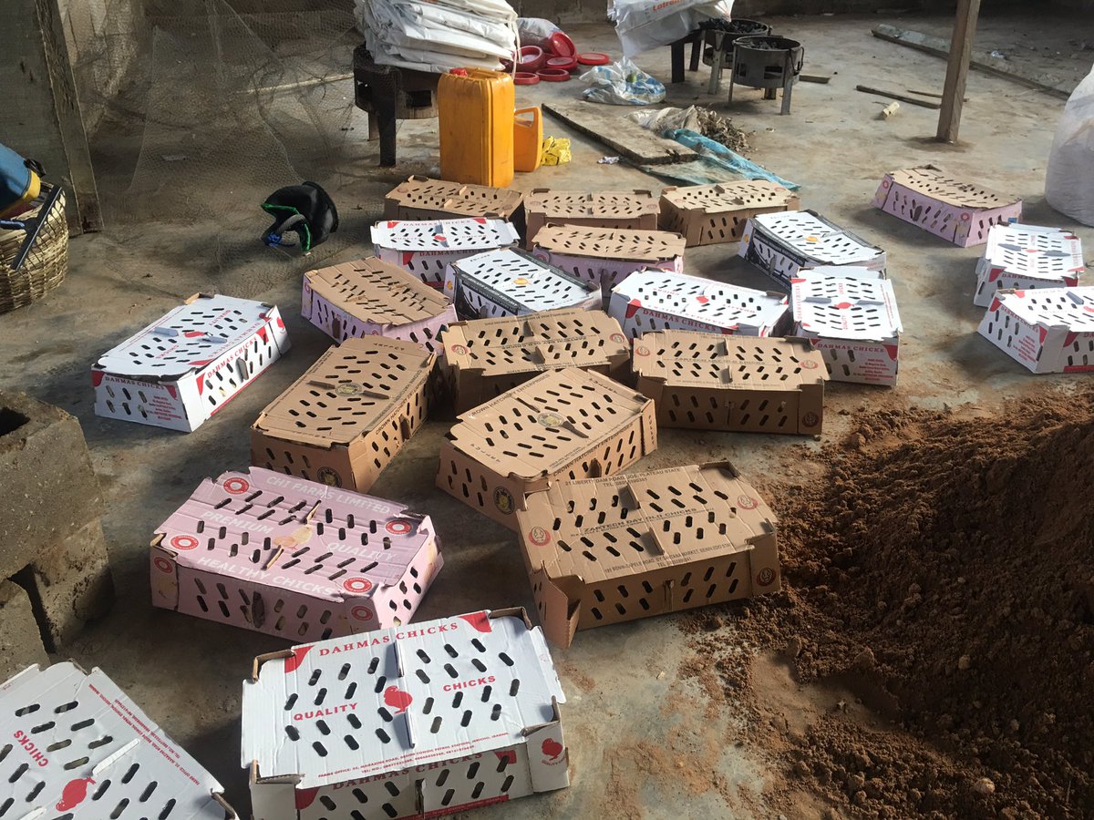 AdewuniFarms's tweet photo. When we stocked for December/January Sales https://t.co/SOjVitzrqY