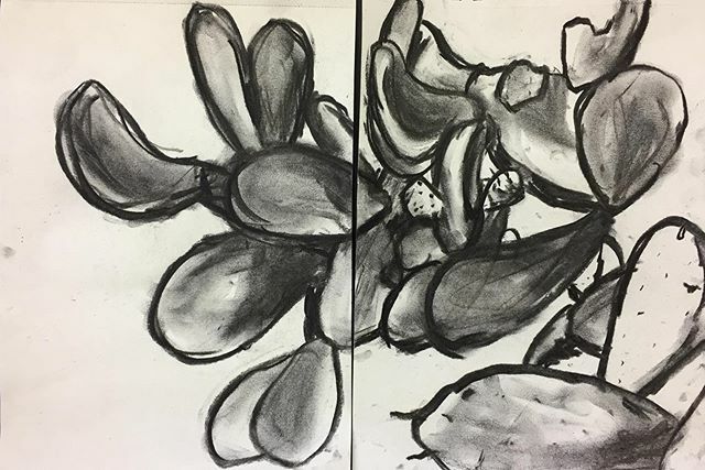 Fredclarkart's tweet photo. A prickly pear.
Formentera 10.2019
Drawing in two parts -
-
#cactus #fredclarkart #drawing #charcoaldrawing #charcoal #pricklypear #formentera #ibiza https://t.co/yDvzEgq71f https://t.co/DKKUjkdBMX