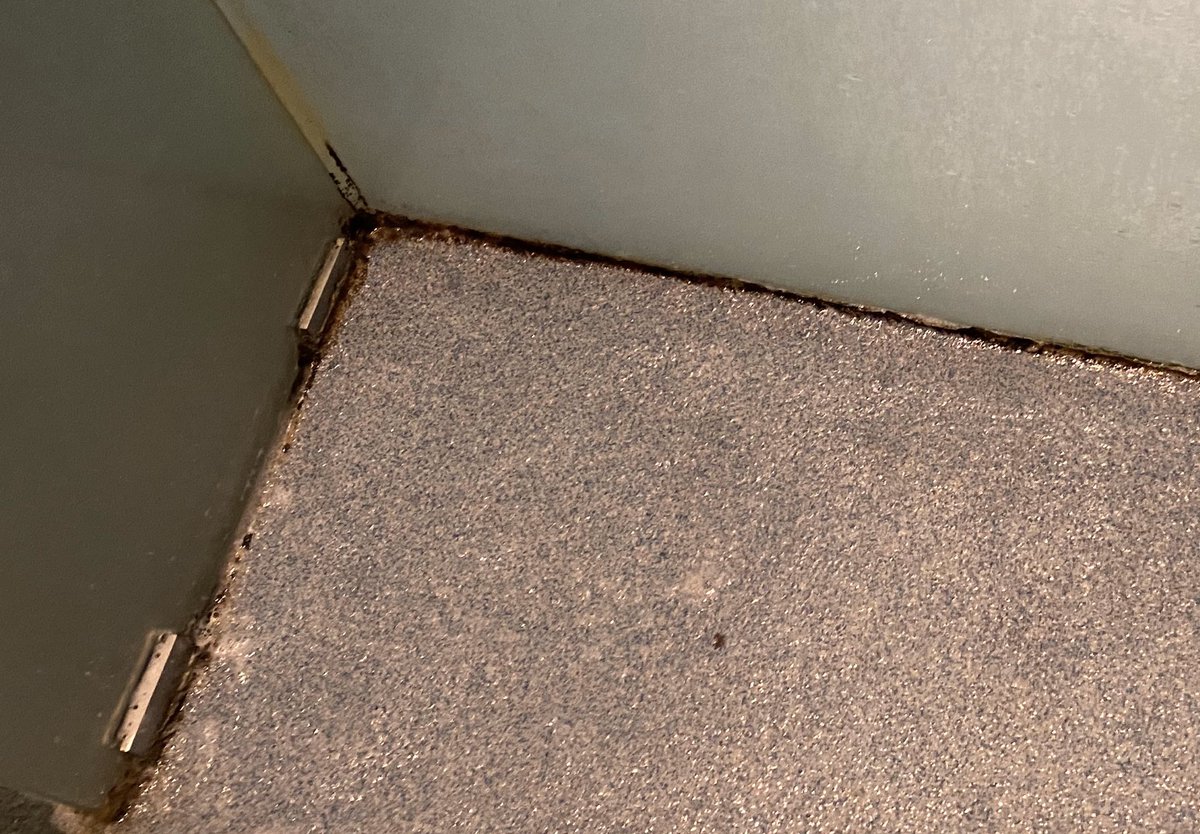 JonnyAppleton's tweet photo. Wow, the 
@ParkPlazaHotels Westminster Bridge has seriously gone down will since I last stayed! One thing that incenses me is poor cleanliness. So easy to achieve but rarely done well! Just look at the spa 😱 My room is not much better! #tryharder https://t.co/hSp944fkac
