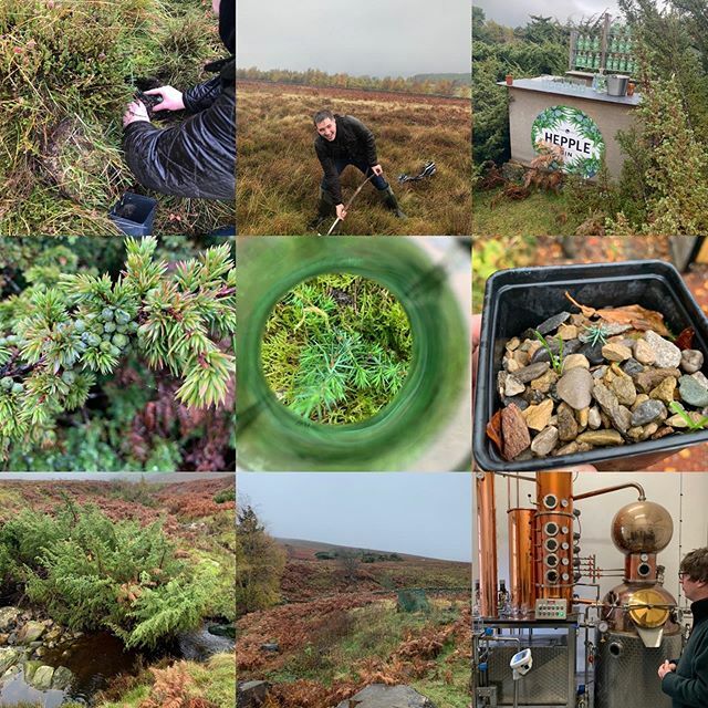 jakejw94's tweet photo. One of the best experiences I’ve had, planting my own juniper seedling, and going through the Hepple land with its own little climate. The distillery process is insane and I love it to bits, if you get a chance go, please do! https://t.co/0NReLfih97 https://t.co/VPjPJb5nDk