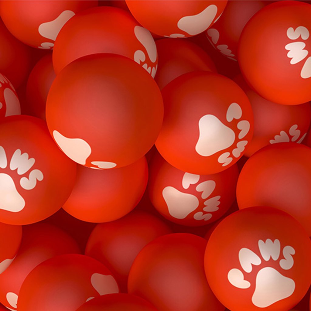 GrtBritDesign's tweet photo. 068 – Lovely logo idea and identity for Paws. 

Designed by @studiokoto https://t.co/hsFeobXyAP