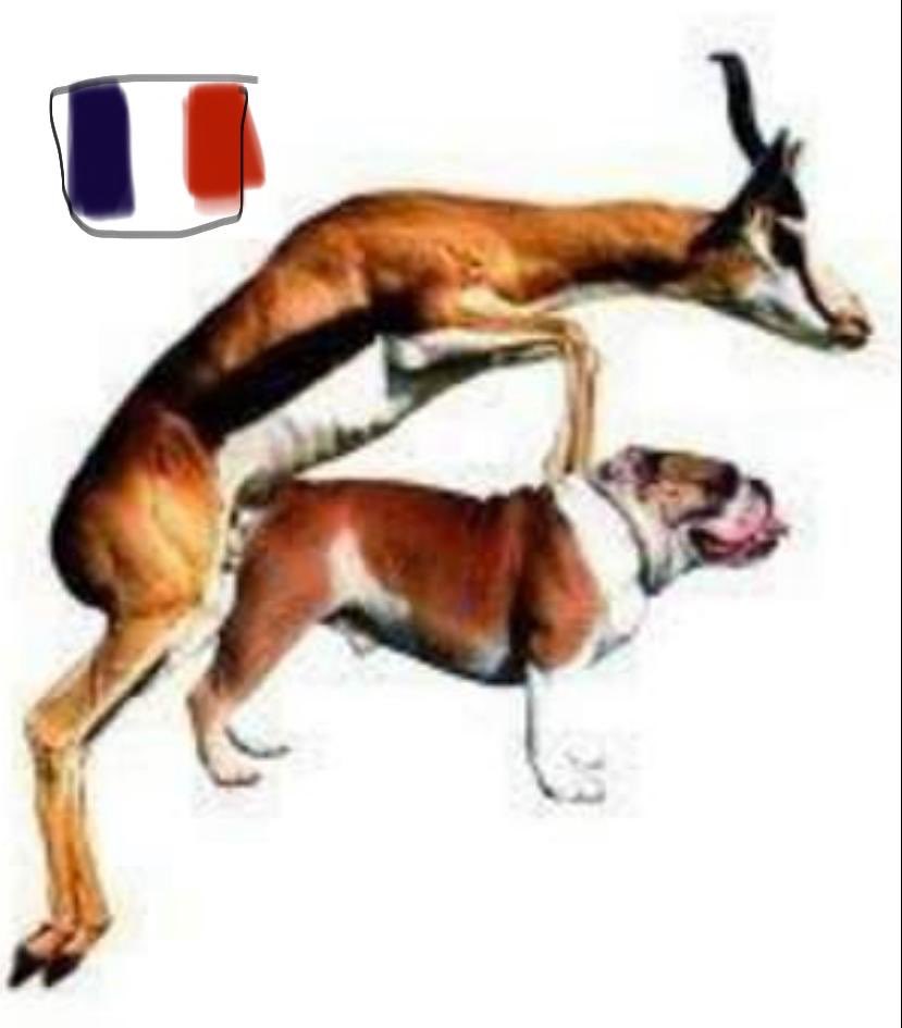 BenVickers68's tweet photo. #RugbyWorldCupfinal #RugbyWorldCup #RWC2019 #RWCFinal https://t.co/hKiAfZINIt