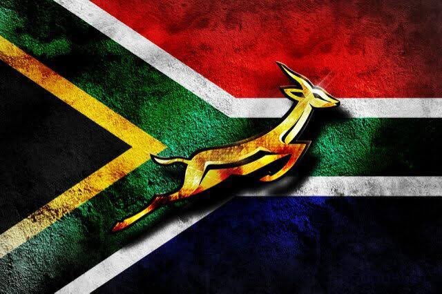 KinderloveSA's tweet photo. Go Bokke! #RugbyWorldCupfinal congratulations to #SouthAfrica https://t.co/lxrDHvk1u7