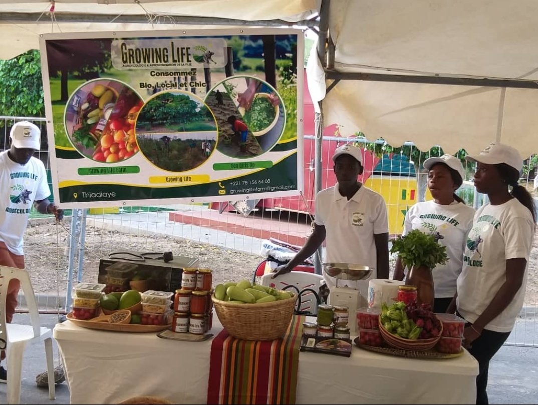 Kinefatimdiop's tweet photo. Psttt le Peuple, si vous passez au Dakar Farmers Market... Ne ratez pas le stand de Growing life! Thérèse a lâché le monde des Ong pour vivre de sa passion pour la terre !
Ses ravioli, pâte au fonio, ses courgettes blanches, ses sauces sont un délice https://t.co/rsM2CCqC9Q https://t.co/OQ2msycvqw