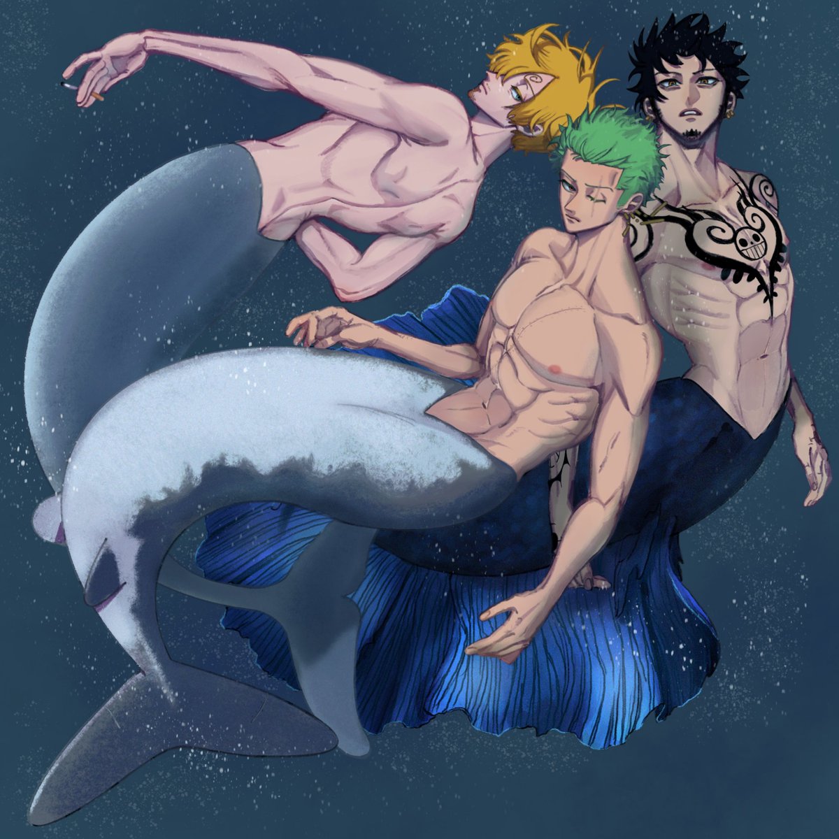 たつトピ 人魚でサンジとゾロとロー描いたヨ ローが一番ややこしかった サンジがイルカ ゾロが鮫 ローがベタの人魚 っていう妄想