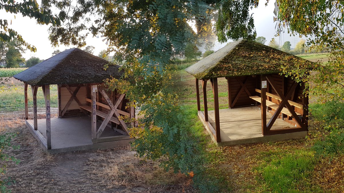 dortelweil's tweet photo. Frische Farbe für Schutzhütte an #Niddaroute. Gemeinschaftsaktion des #Ortsbeirat #Dortelweil lässt Schutzhütte in neuem Glanz erstrahlen. Mitglieder des Gremiums greifen selbst zu Pinsel und Farbe nachdem Maler abgesprungen war. Stadt #BadVilbel stellt Material zur Verfügung. https://t.co/4IIxdoy4KH
