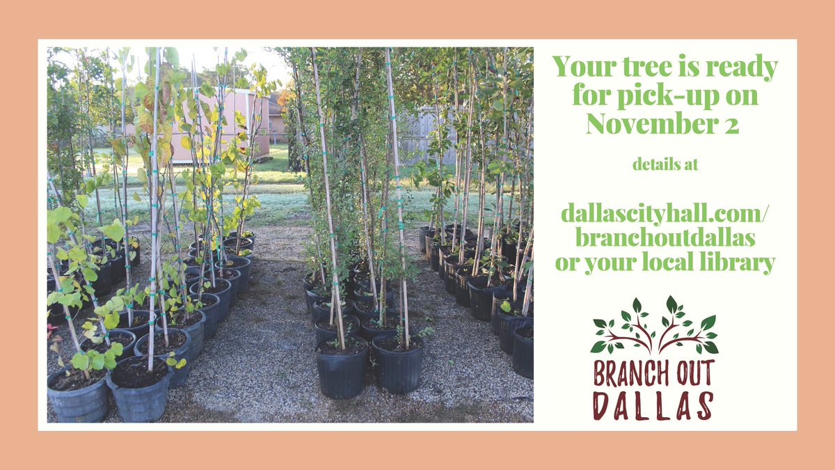 GreenDallas's tweet photo. #Branchoutdallas get your reserved tree #Dallas. Think about trees today and what a great time to plant yours. ⁦@greensourcedfw⁩ ⁦@DPDCA⁩ ⁦@TXPlantGuy⁩ ⁦@NCTCOG_Official⁩ ⁦@GiveWisely⁩ ⁦@MommysMinivan⁩ https://t.co/a1WeEtiUsh
