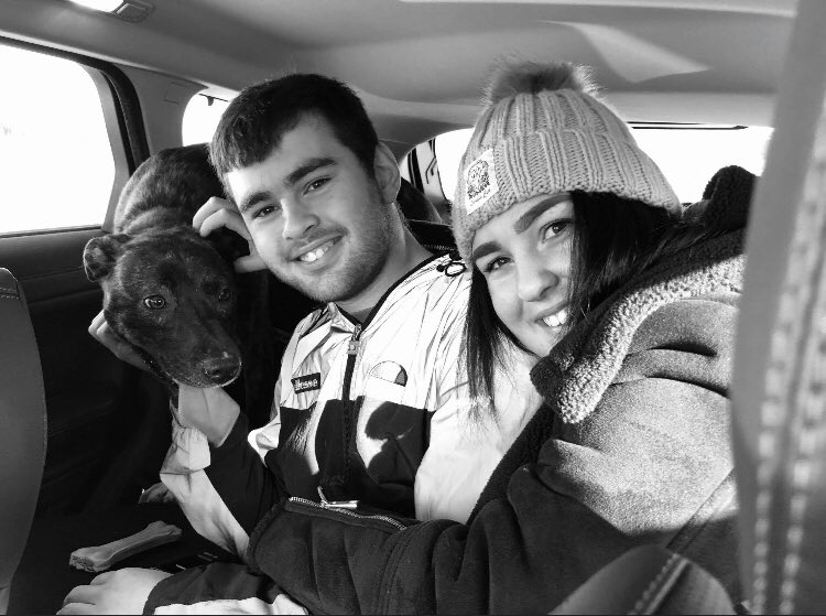 beckywards's tweet photo. 1 year ago today we brought home Oscar from @BhamDogsHome. And what a year it’s been. Now we can’t imagine life without him. He’s made our house, a home ❤️ 🏡 #birminghamdogshome #rescuedogs #staffyX #BhamDogsHome https://t.co/tCZALJ7QmX