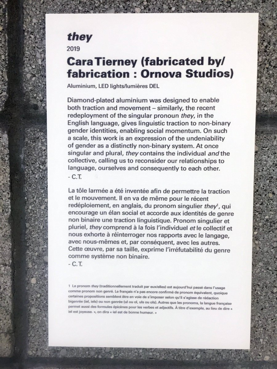 caratierney's tweet photo. Up and pretty much complete - Lighting to be installed on Monday!!! @OttawaArtG #they #art #canadianart #transingspace every day is #pronounday #gender  #bigsculpture #sculpture #ottawaartist #queer #nonbinary #degender #genderidentity #genderneutral #TransIsBeautiful #trans https://t.co/DCgLmxghUq