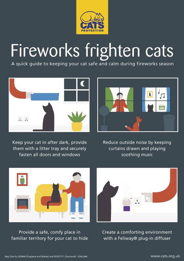 camberleycats's tweet photo. Now that firework season is upon us, Cats Protection has a few tips for calming nervous kitties during the noisy celebrations. Stay safe everyone 🐱#BonfireNight #fireworks https://t.co/u6Wc0QAmUK