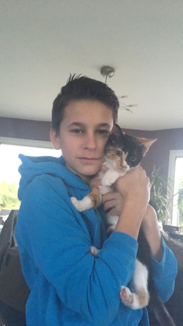 elisa_nrmd's tweet photo. ⚠️⚠️ Hello tt le monde, nous avons perdu notre chat sur Carpiquet, voilà elle ressemble à ça, elle est toute petite, si quelqu’un l’a vu ou pense l’avoir aperçu contactez moi en Dm!! Merci d’avance 🙁 #RT https://t.co/fuFulSR1ag