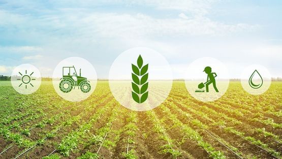 CGIAR_Data's tweet photo. Does #data mean power for smallholder farmers? "By developing digital agriculture codes of conduct with inclusive participation, power imbalances and data asymmetries can be more effectively handled," writes data privacy expert Foteini Zampati @WorldBank: https://t.co/Nxr6TyfUuq https://t.co/3eUkMiLETL
