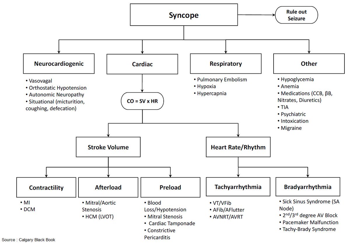 AP0nline's tweet photo. Syncope https://t.co/mk09pyTOV9