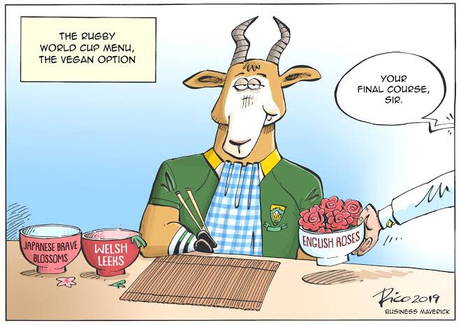 Pududu_II's tweet photo. @Springboks @EnglandRugby #RWCFinal2019 #Mapimpi #kolisi they had no chance whatsoever. #ProudlySouthAfrican https://t.co/CBbFDY0xOC