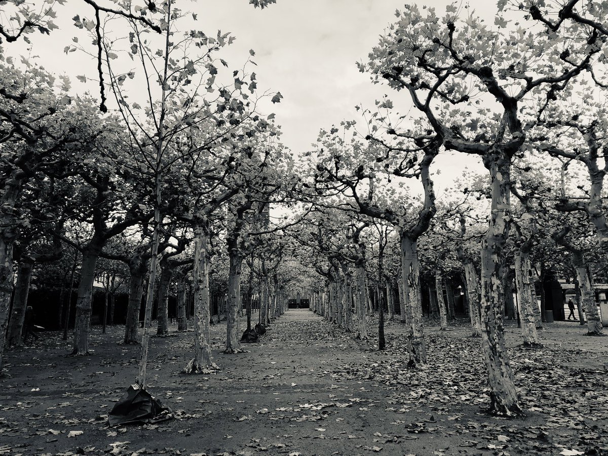 mad4len's tweet photo. #landscapephotography #blackandwhitephotography https://t.co/PPmEf2Uyek