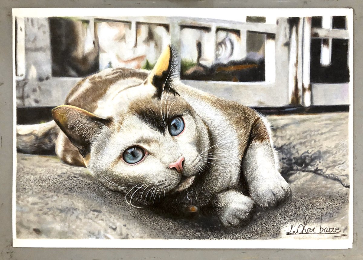 長靴をはいた猫 高校生色鉛筆画家 中学3年の秋、親に影響を受けて家で