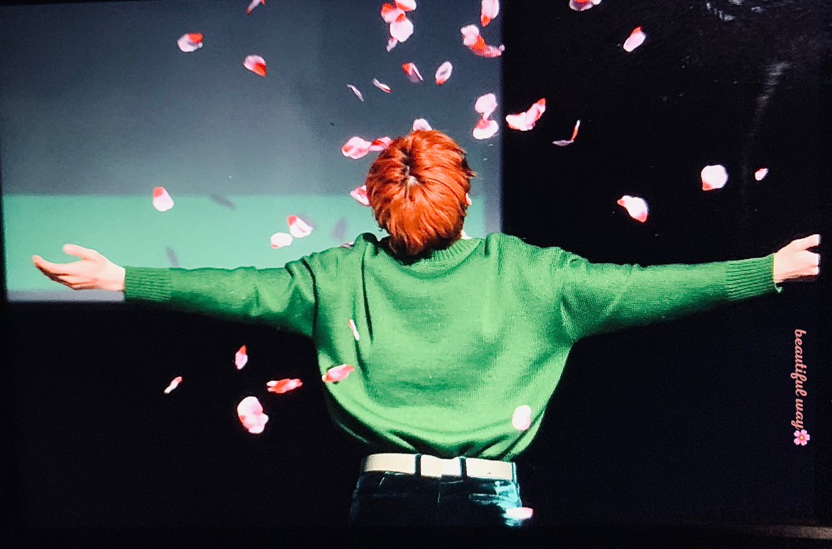 btfway_mh's tweet photo. 191102 #황민현 #민현 #뉴이스트 https://t.co/UojH869jIq