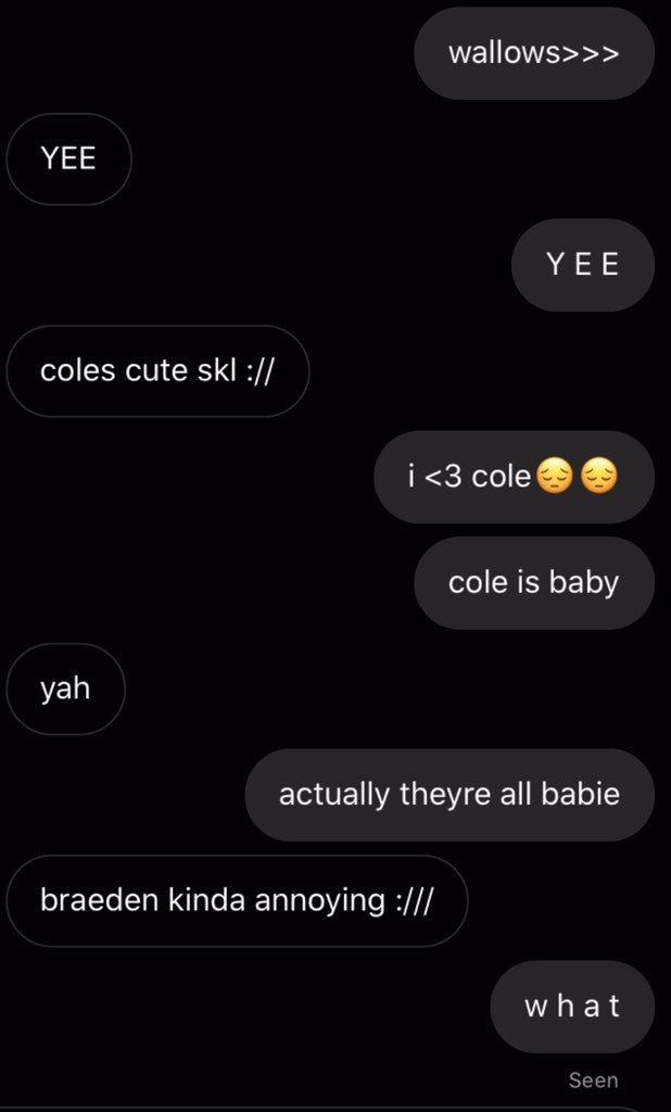 thesedcys's tweet photo. so i found out one of my irls also listened to wallows and i was so psyched about it until they said braeden was annoying 😐 yeah i fucking hate them https://t.co/GfoHRcQ3Dp