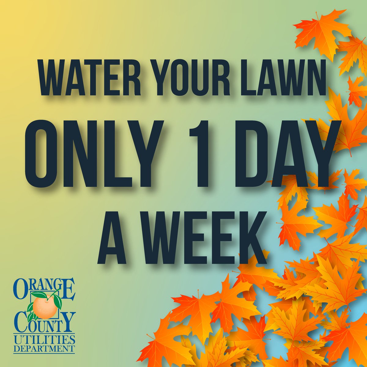 OrangeCoFL's tweet photo. Reminder: Starting tomorrow, water your lawn only one day a week through March 7, 2020. #DaylightSavingTimeEnds #OnceAWeekIrrigation https://t.co/vvswPkyAPw