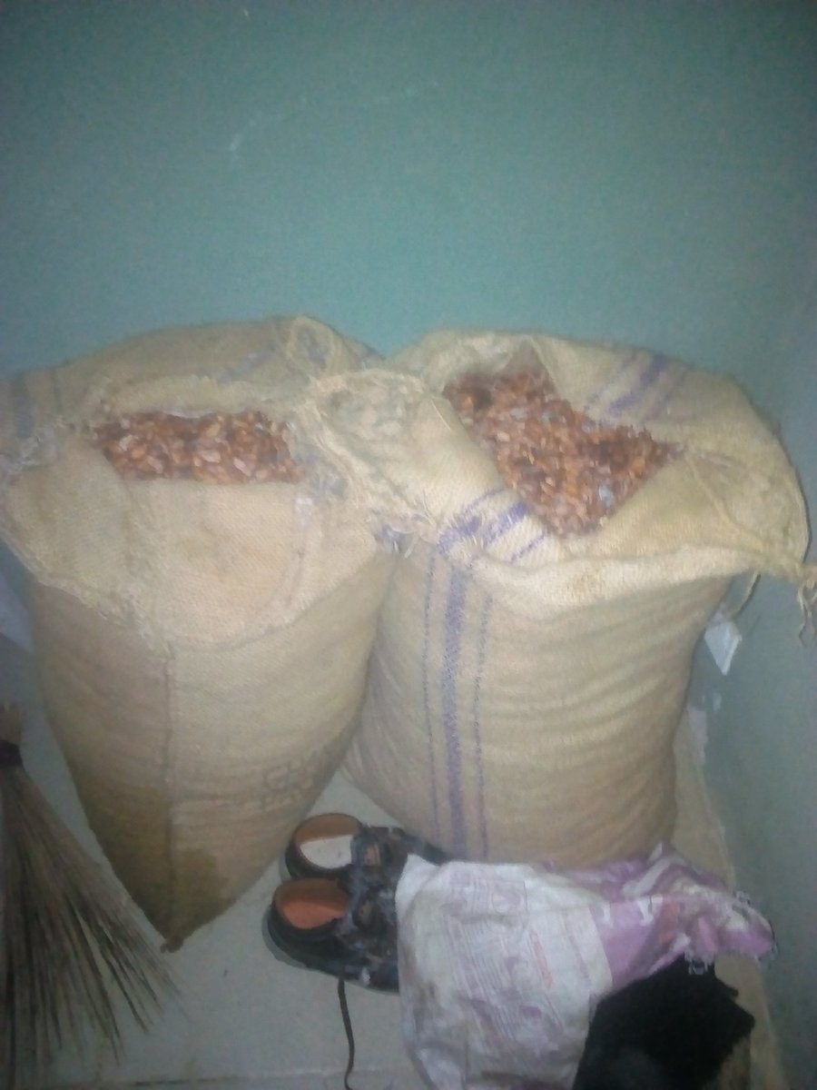 JOlayoku's tweet photo. @mkulimayoung @tzDiscovery @noor_abdul @EdwinSigey_ @IrriHub @Golichas @ezrashedracks @Ushaurikilimo @rodgers_kirwa @africaupdates @diangaronald No sentiment, are we talking bout chocolate or cocoa value chain? We CAN NOT produce world class chocolate in Africa due to many factors to include hot climate, no texture, access to electricity through out the VC, culture we not sweet tooth, health we know better, Tech #CocoaVC https://t.co/uk7KijtBqr
