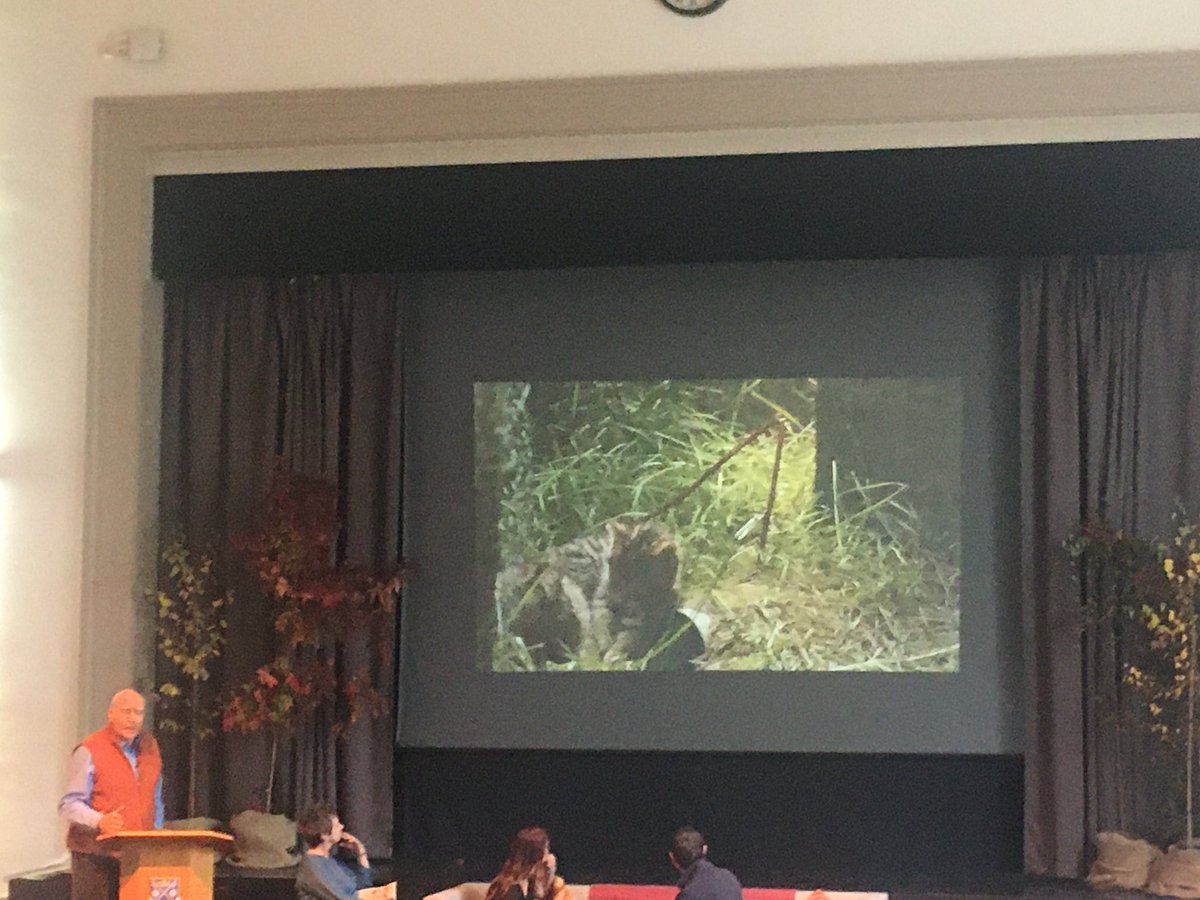 flygirlNHM's tweet photo. ‘Wild cat Tom can’t resist domestic Pussy’
Cue a lot of giggles in the room #hybridisation #conservationIssues
Sir John Lister-Kaye @networks4nature #TimeForNature https://t.co/7vE7DvpEiq