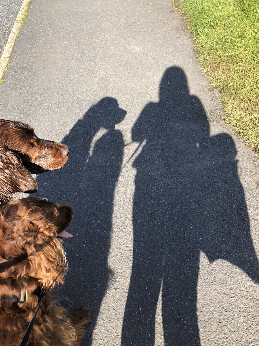 Rua2000's tweet photo. #shadowselfies for #2minbcphtochallenge10 https://t.co/qxfKILqsXk