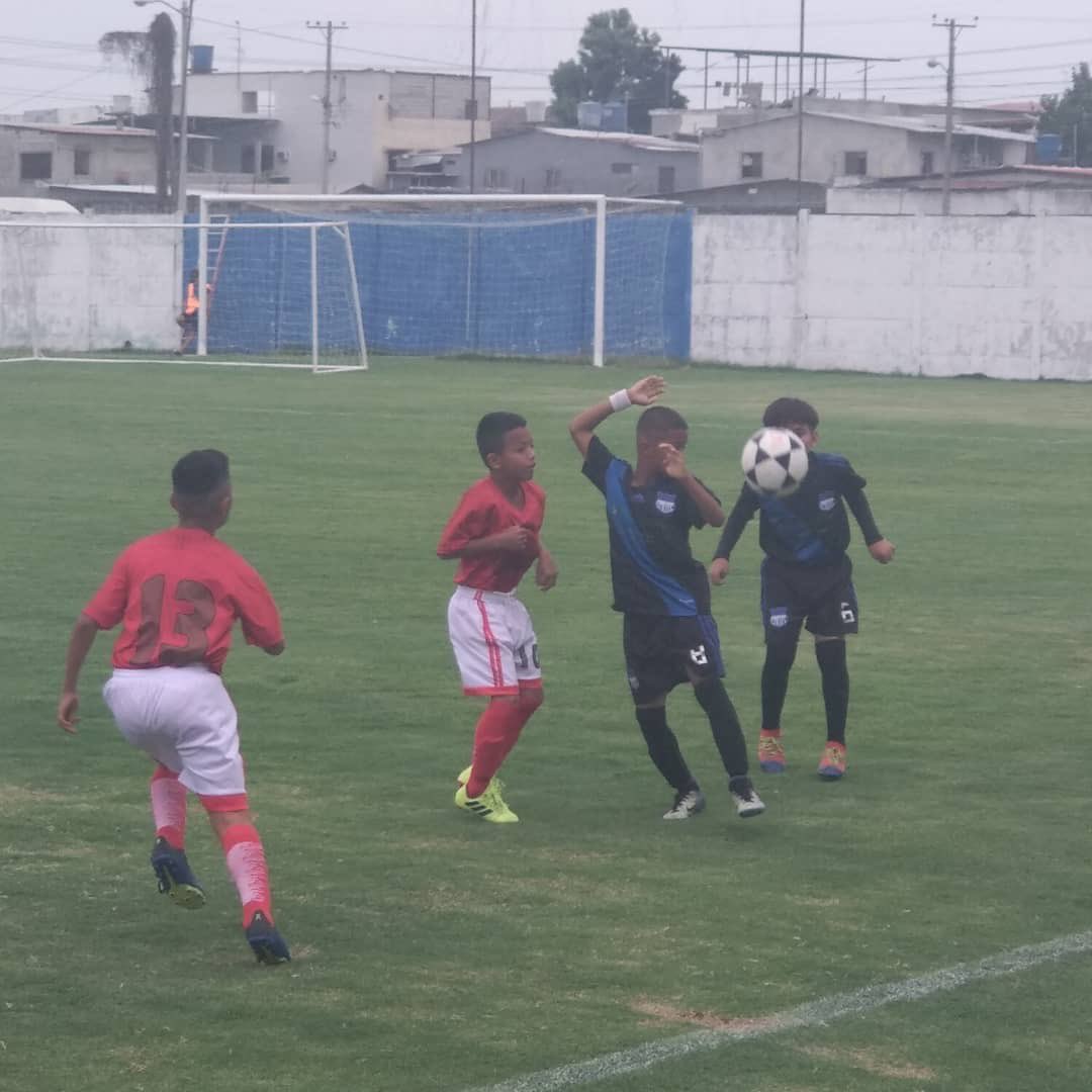 GloriaSaltosFC's tweet photo. Sub 11 fue eliminada por el @csemelec del torneo de @aso_guayas https://t.co/UOydSfLtum