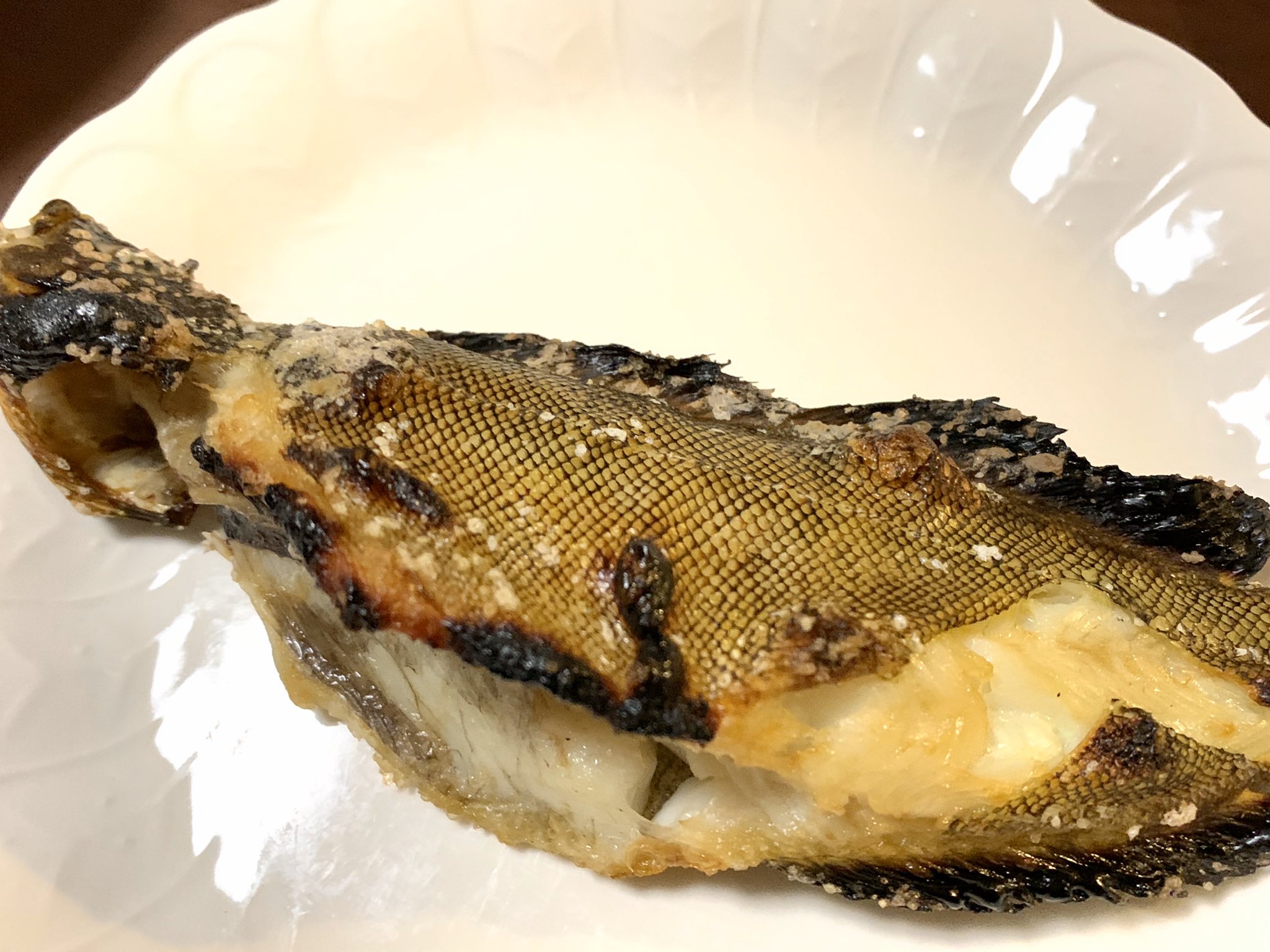 寿トロ 釣ってきてもらった魚 いやーギンポ初めて捌いたけど シメてからも動き回るもんでビビりまくりましたが天ぷら美味しかった ハゼなどの小さいのが写真の3倍くらいあったので全員天ぷら アイナメ塩焼き ベラ煮付け T Co Vf4wrm44ur