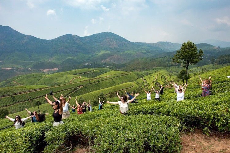 kebackwater's tweet photo. Explore Top 10 Tourist Attractions in Kerala that are simply the real deal. https://t.co/xe71eA7MdC
#KeralaTourPackages #KeralaHolidayPackages #KeralaTouristAttractions https://t.co/fgaVkaxpsu