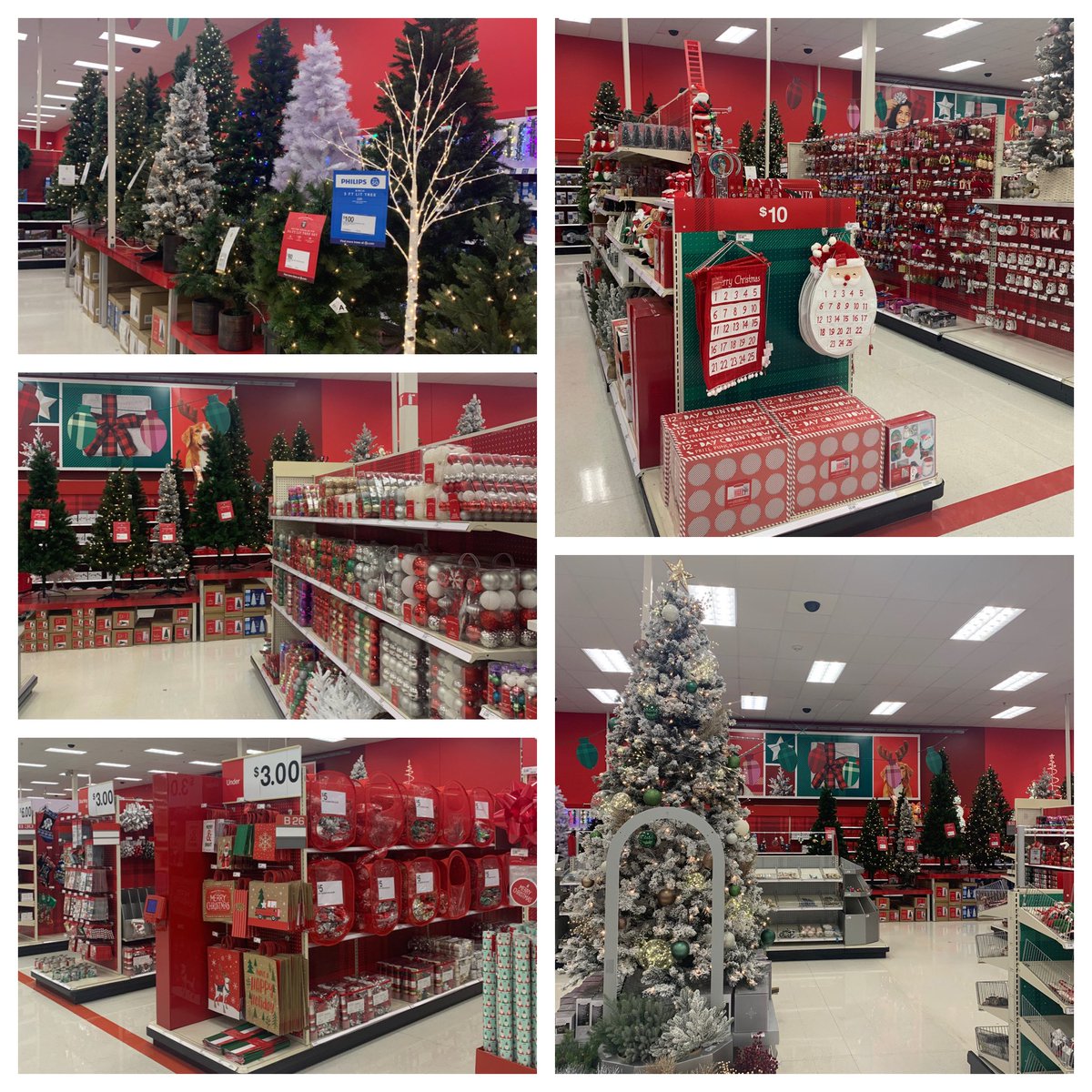 Jen Makris tweet media