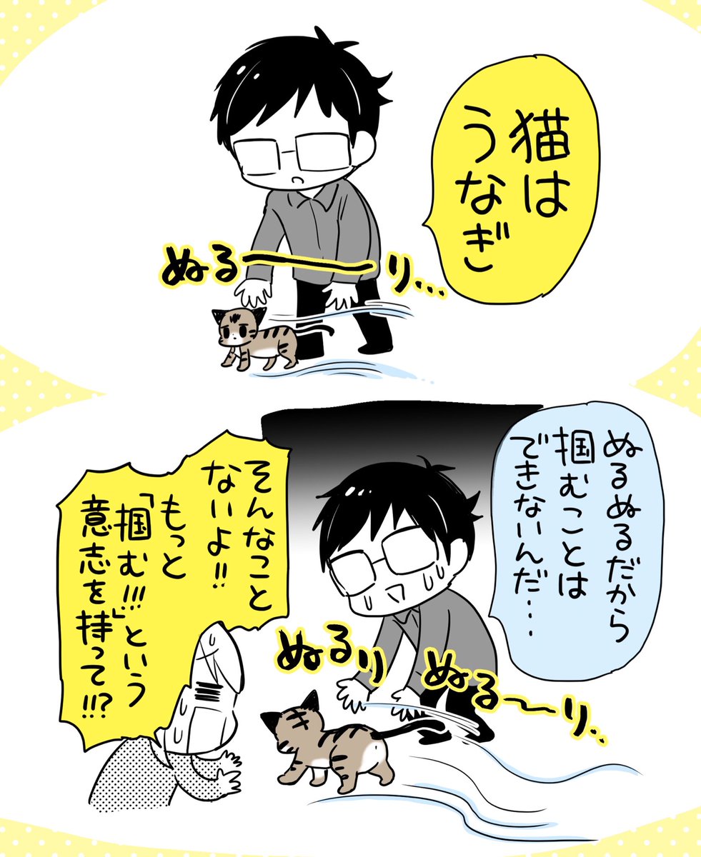 猫はうなぎ 