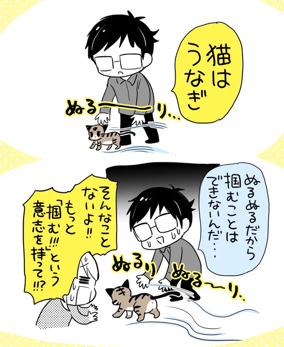 猫はうなぎ 