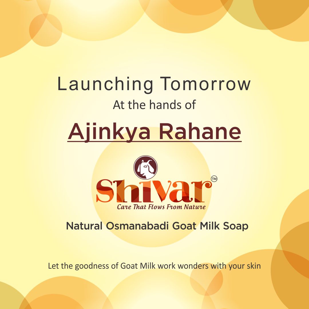 ShivarSansad's tweet photo. #OsmanabadiGoatMilk has some unique properties that give your skin fabulous care and protection.
#Shivar Osmanabadi Goat Milk #Soap not only brings this natural goodness to your skin but also helps poor #farmers in drought hit #Osmanabad district fight poverty and distress. https://t.co/UfNszEu7cq