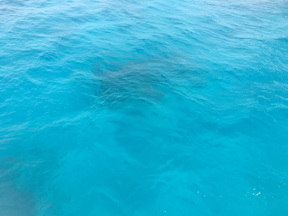 bice692's tweet photo. Nel mare contemplo e ritrovo la mia anima libera come in uno specchio rivedo la mia vita in viaggio! ❤️ my life https://t.co/jbZLI5IlEd