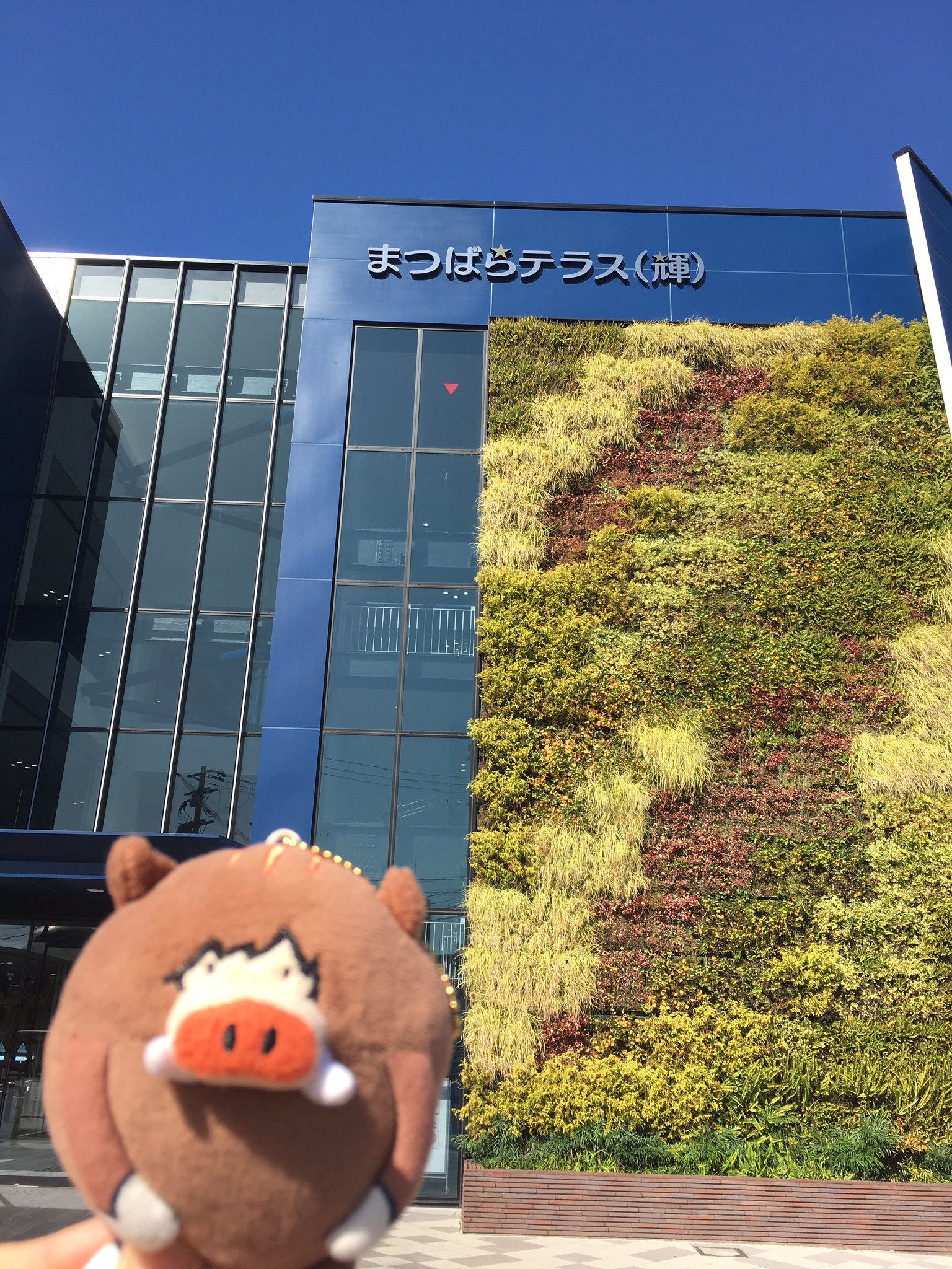 はる 連休初日 隆ちゃん優ちゃんローカリズムの旅に行って来ました 仲良し2人で来れて良かったね 11 9から展示の予定が早まったとの事でした 松原テラス ローカリズム 高橋優 山村隆太 Flumpool T Co Hdruu65fve Twitter