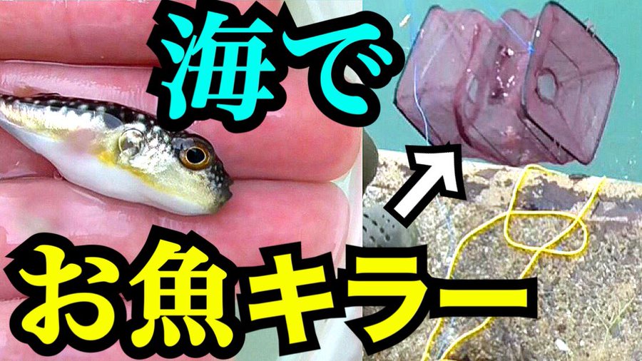 お魚キラーで大物ゲット おすすめの餌や使い方 自作方法も キャンパーズ
