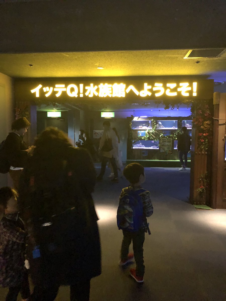 イッテq水族館